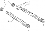 tsimoyxa